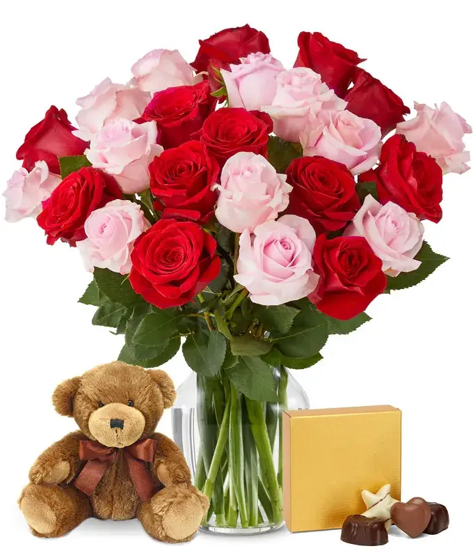 Two Dozen Red & Pink Roses with Chocolates and a Bear